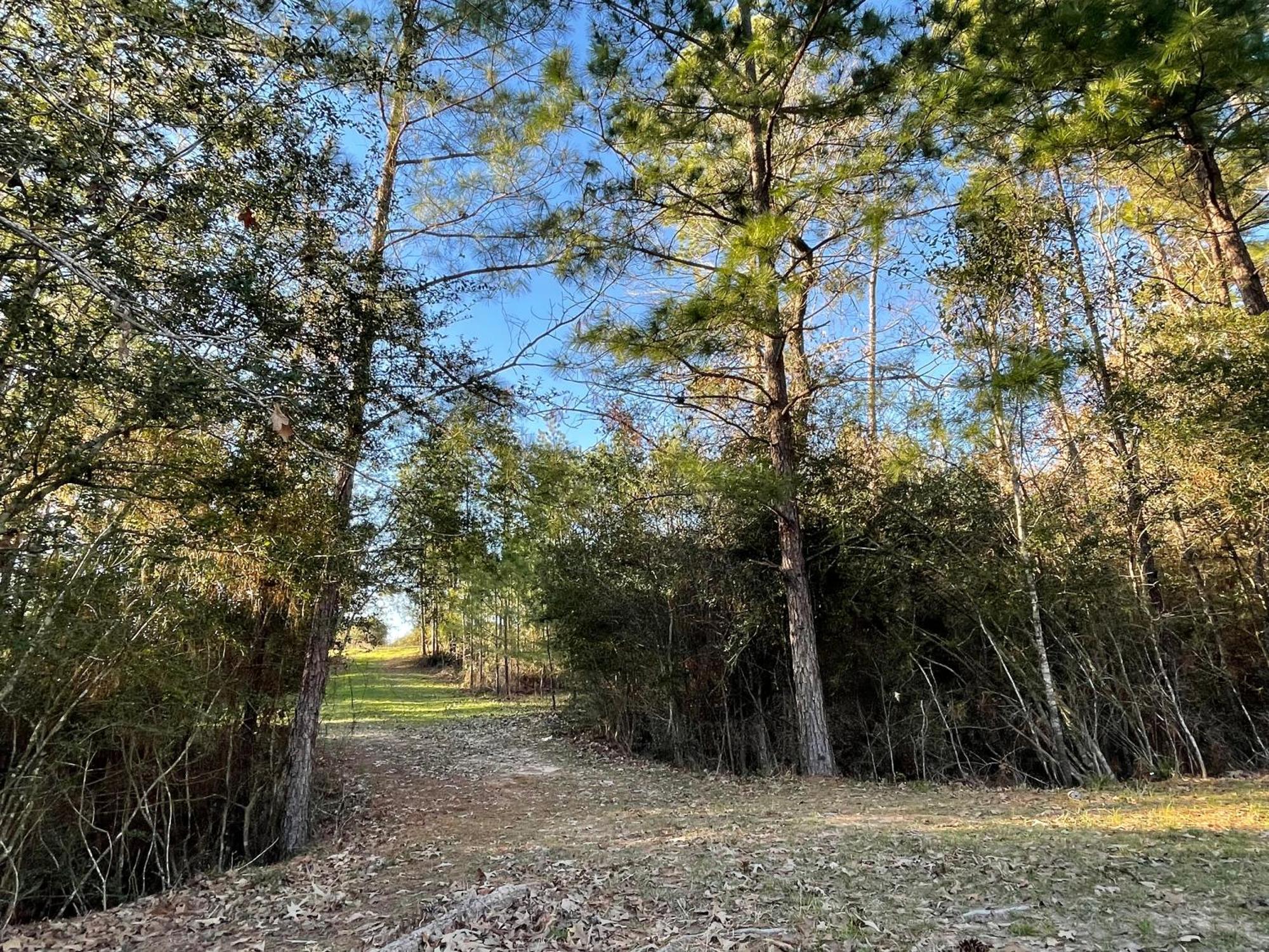 Country Getaway 4 Bedroom Resort In 10 Acre Lot マグノリア エクステリア 写真