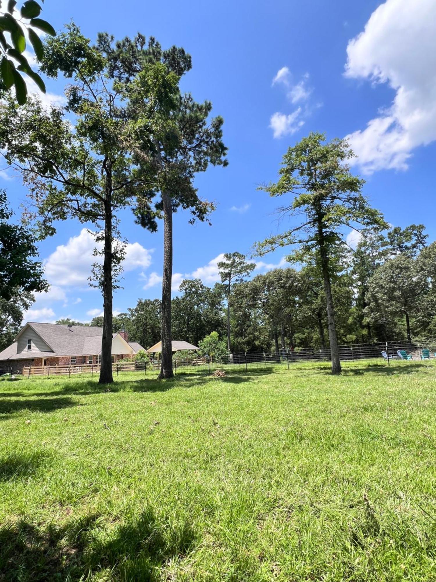 Country Getaway 4 Bedroom Resort In 10 Acre Lot マグノリア エクステリア 写真